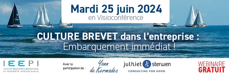 IEEPI - Institut Européen Entreprise Et Propriété Intellectuelle