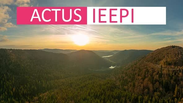 IEEPI - Institut Européen Entreprise Et Propriété Intellectuelle